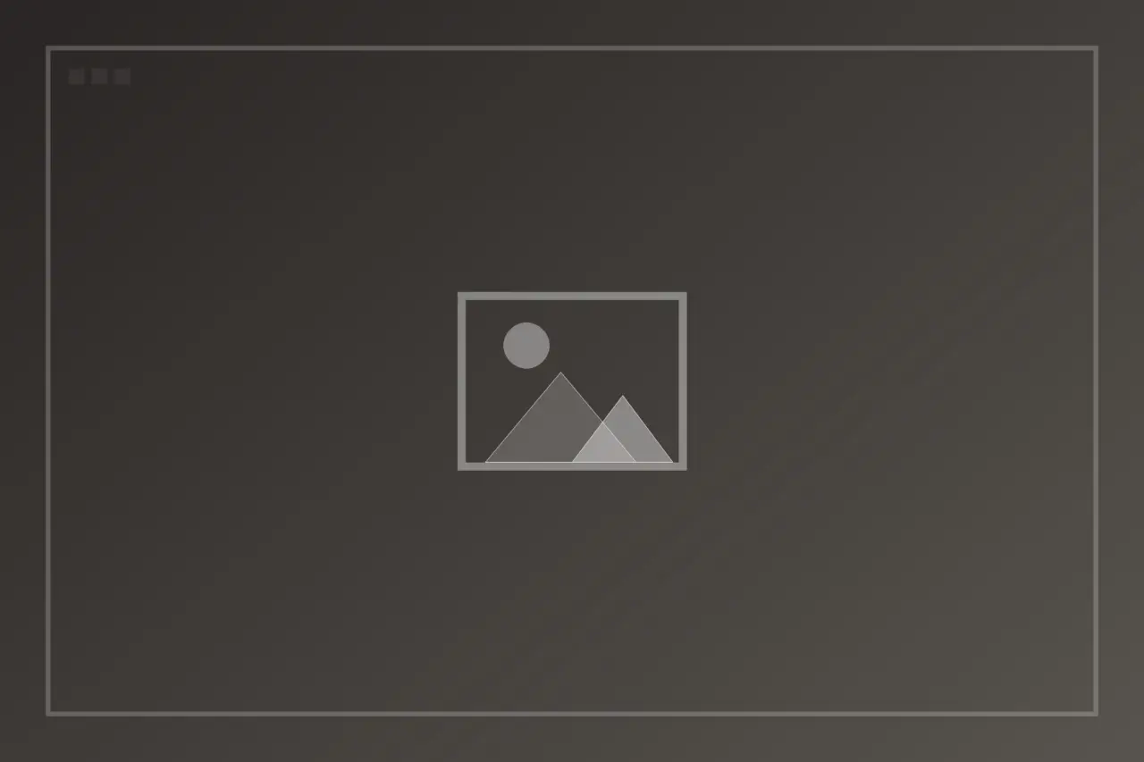 Placeholder image 3